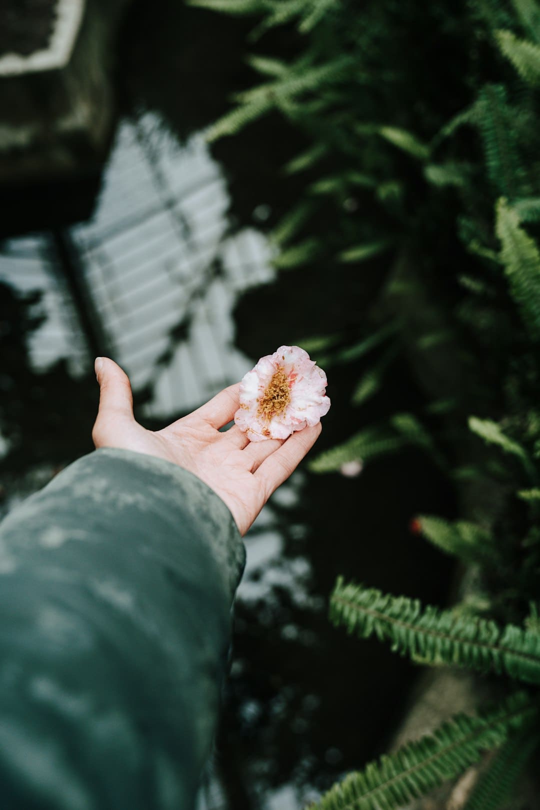 《那一场呼啸而过的芳华》预告海报双发 “喜爱你就要耍女流氓”成芳华宣言